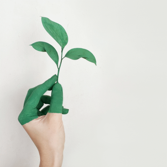 The Benefits of Green Marketing