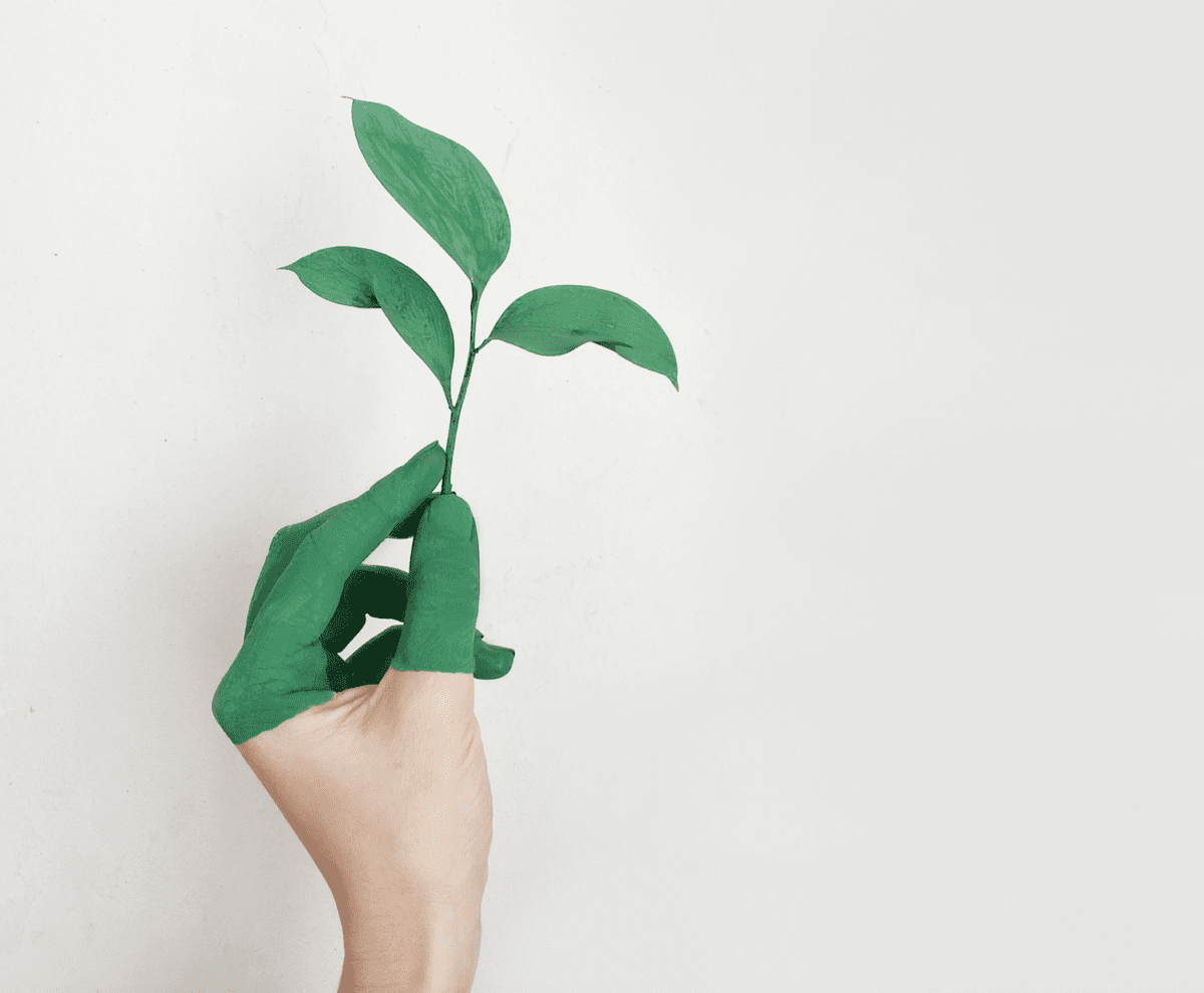The Benefits of Green Marketing