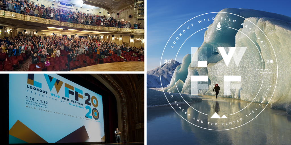 Lookout Wild Film Festival work by Spectruss