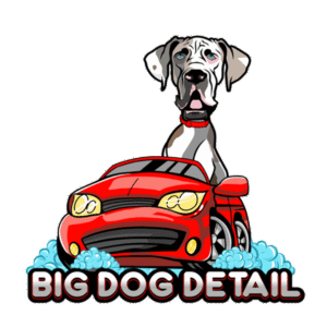 Big Dog Detail Big Dog Detail