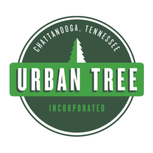 Urban Tree Urban Tree